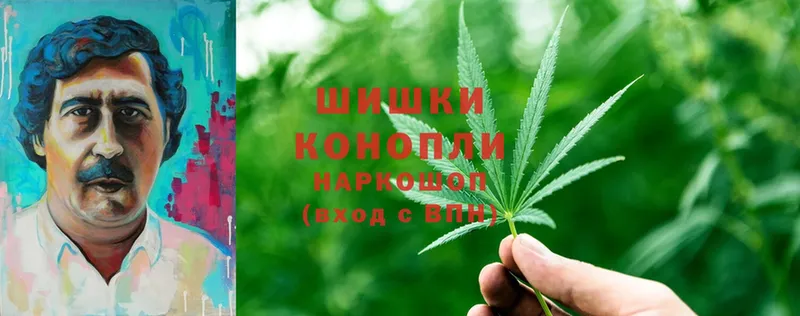 наркотики  Дегтярск  mega tor  маркетплейс какой сайт  Каннабис Ganja 